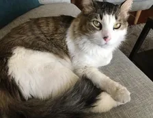 Sanjay J [சஞ்சய்]